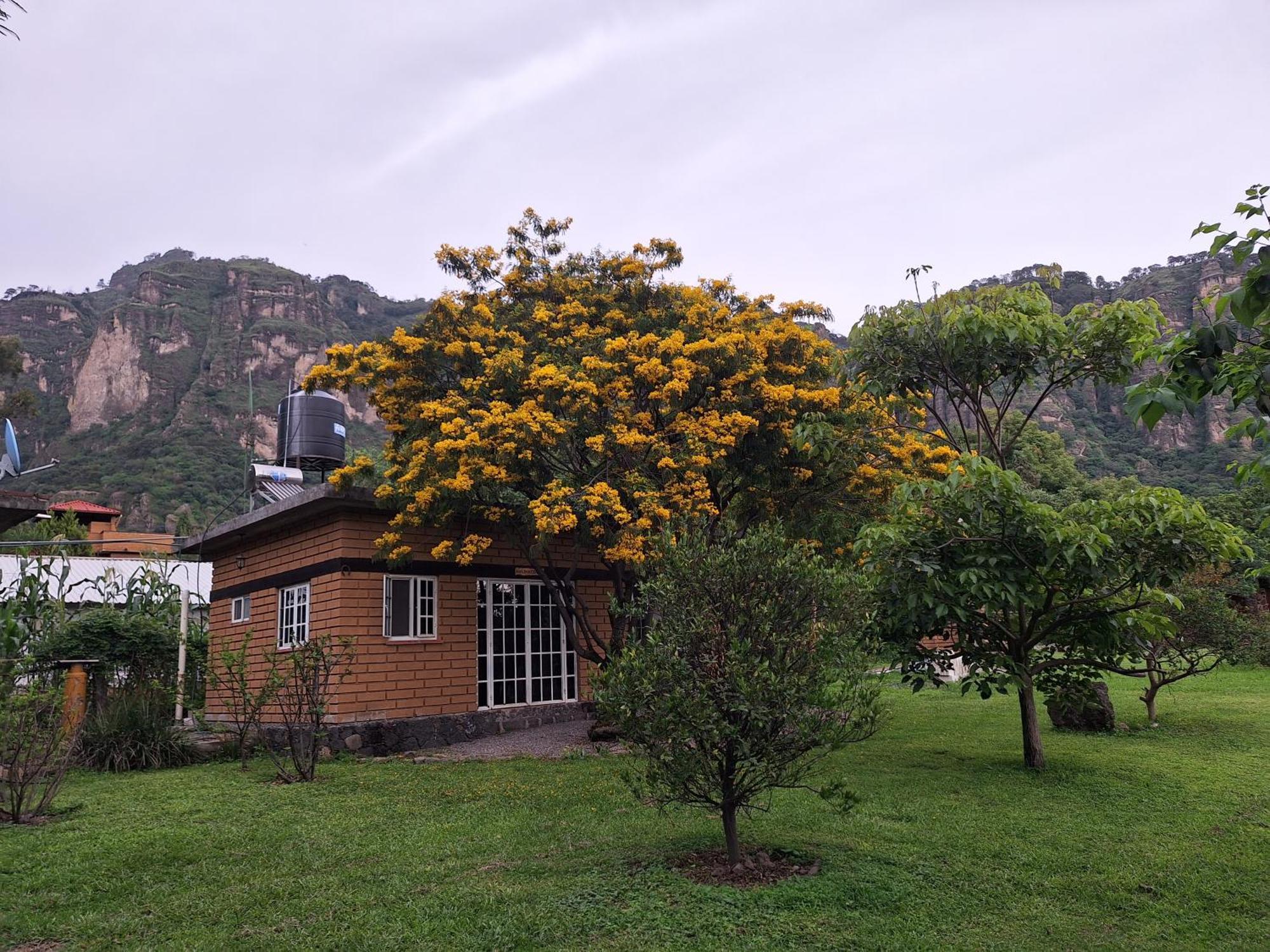Posada Meztitla Tepoztlan Luaran gambar